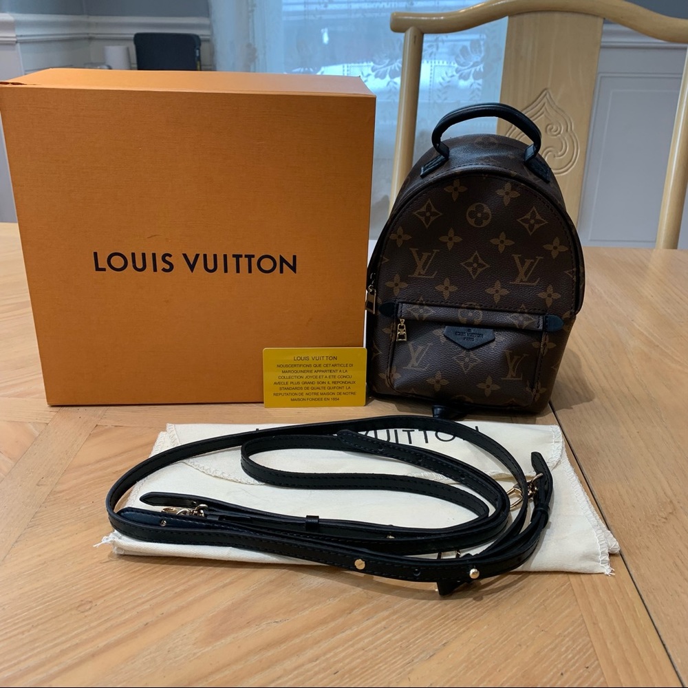 Louis Vuitton Palm Springs mini backpack (2017)